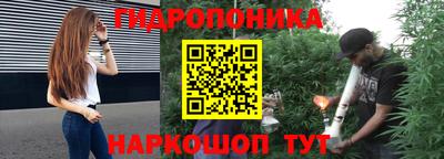 соль ск Будённовск