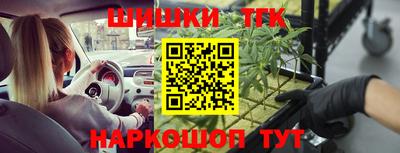 соль ск Будённовск