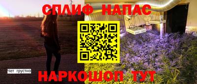 соль ск Будённовск
