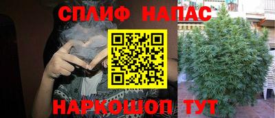 соль ск Будённовск