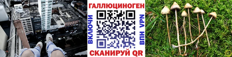 Галлюциногенные грибы Magic Shrooms  гидра зеркало  Нарткала 