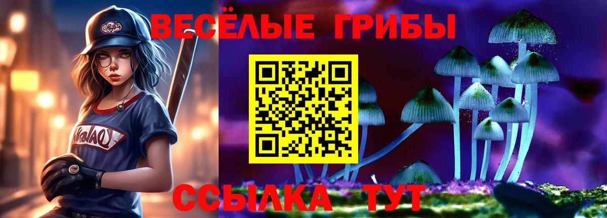 Галлюциногенные грибы Psilocybe  Вход с VPN  Псилоцибиновые грибы Psilocybine cubensis  Нарткала 